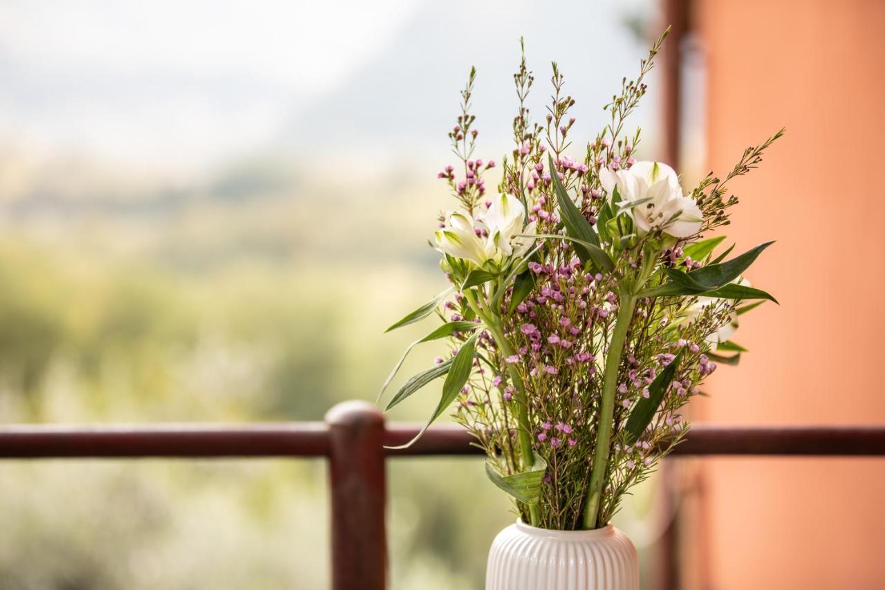 Casetta Di Butia, Appartamento Iris ルッカ エクステリア 写真
